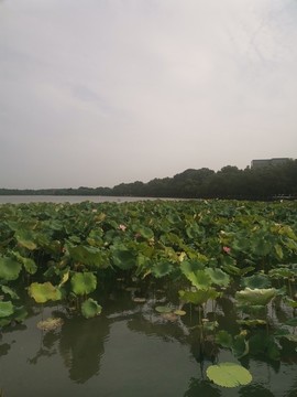 西湖斷橋