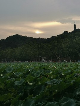 西湖斷橋