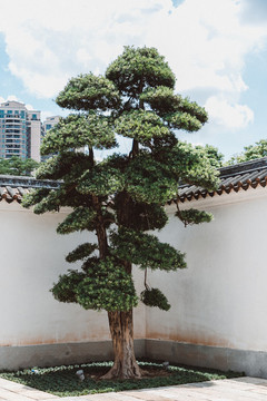 廣州粵劇藝術(shù)博物館