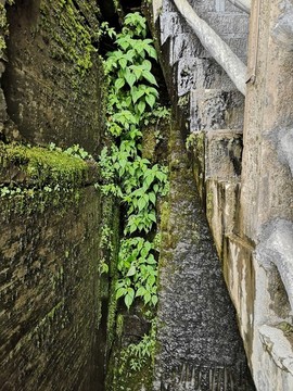 梵凈山風(fēng)光