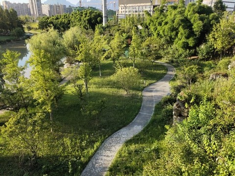 公園綠植