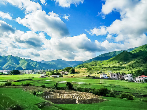 高山田野