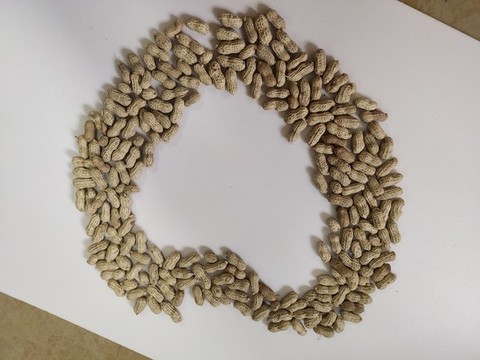 愛心花生特寫