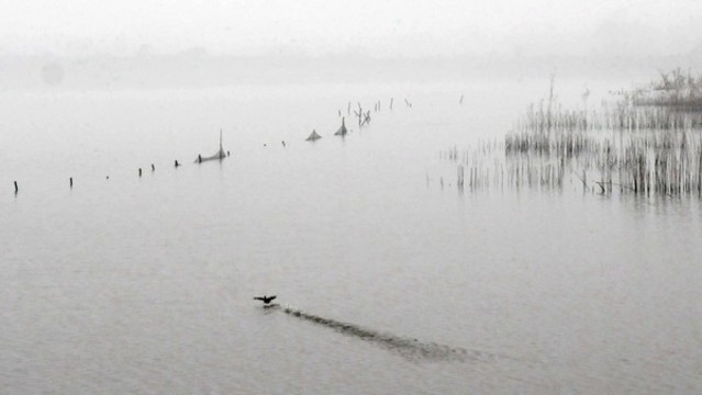 湖泊風(fēng)光