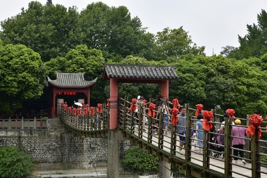 都江堰索橋