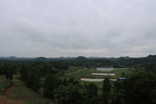 遠(yuǎn)山