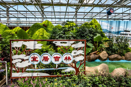 第十九屆中國長春農(nóng)博會場景