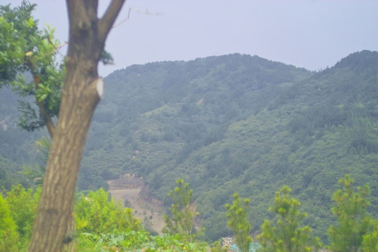 山西臺(tái)駘山