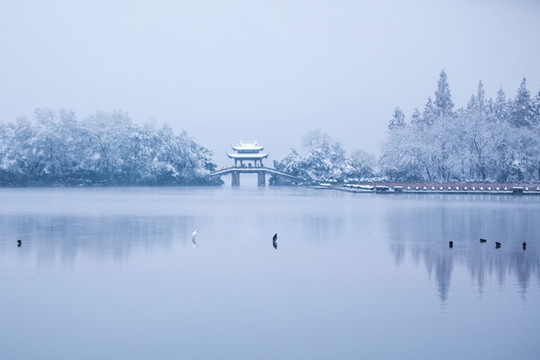 杭州西湖曲院風(fēng)荷雪色