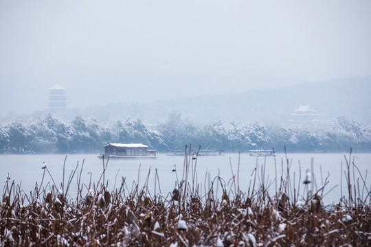 杭州西湖曲院風(fēng)荷雪色
