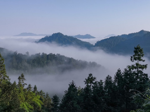 高山云霧