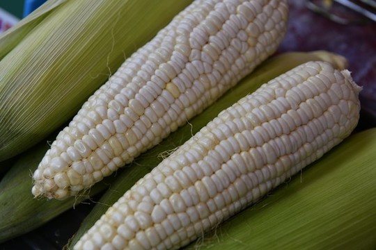 糯玉米