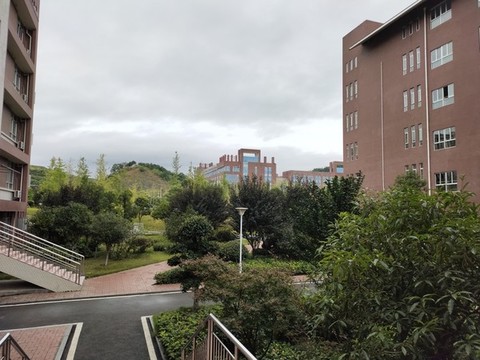 校園里的建筑與綠植