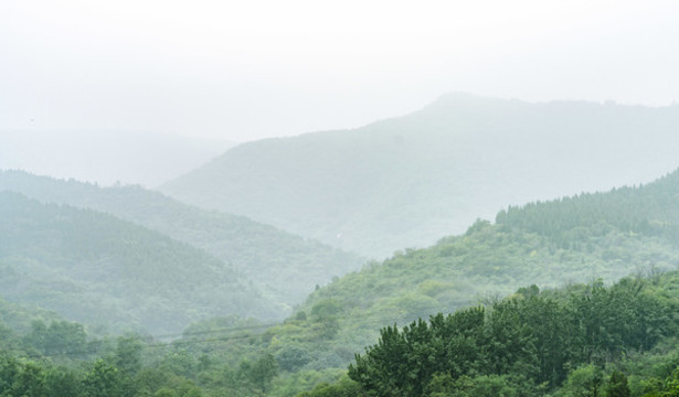 霧中高山