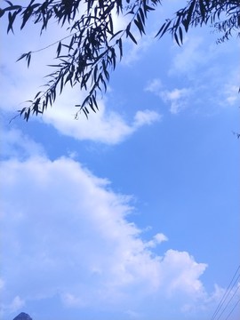 天空