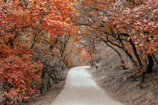 百望山森林公園