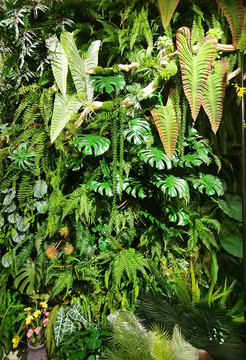 綠植墻