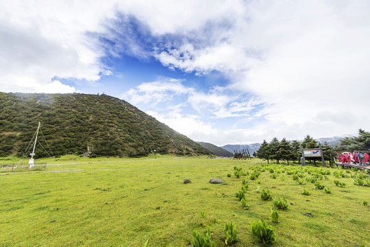 藍(lán)天草地