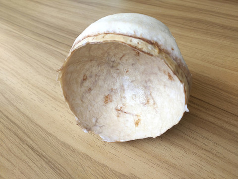 椰子殼