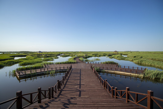 濕地生態(tài)公園蘆葦棧橋