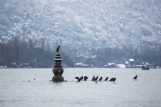 三潭印月雪霽