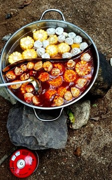 野炊打火鍋