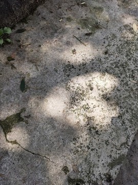 愛(ài)心光與影