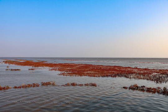 紅海灘