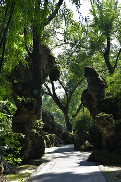 公園小路