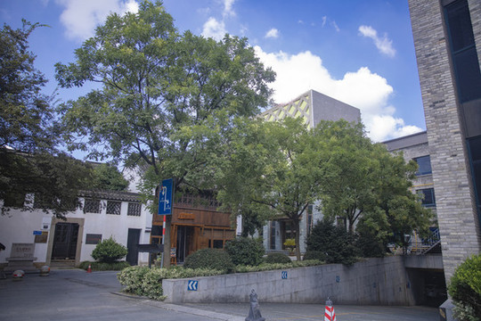 嘉興梅灣街建筑