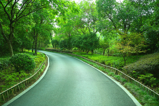 林蔭小路