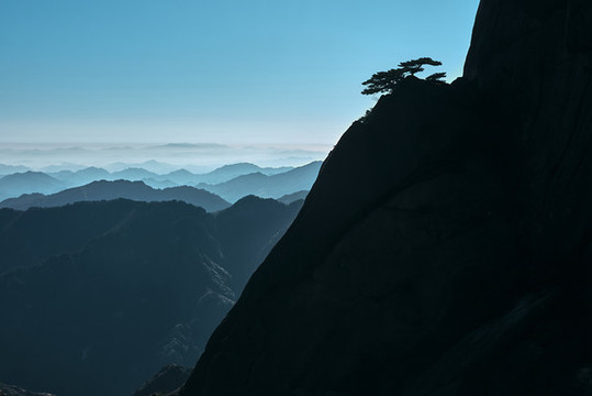 黃山石頭和松樹