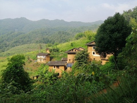 秀山樟坑
