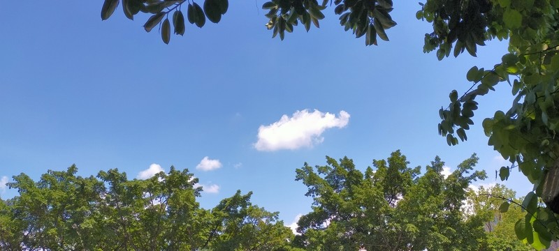 綠樹藍(lán)天白云