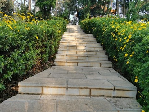 園林小道踏步樓梯景觀綠化