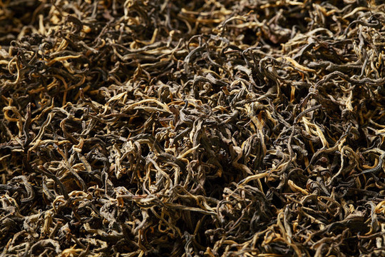 普洱茶紅茶特寫