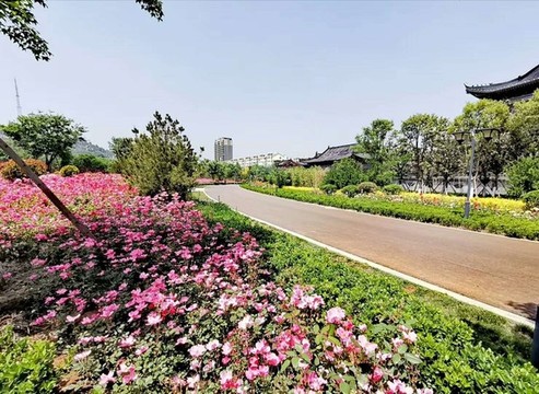 開滿鮮花的小路