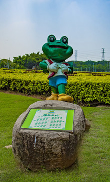 公園里的青蛙