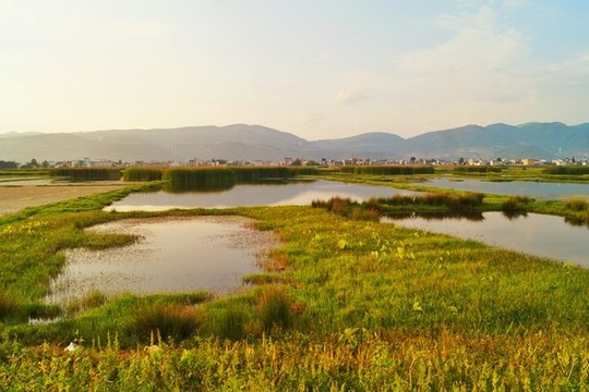會(huì)澤濕地公園