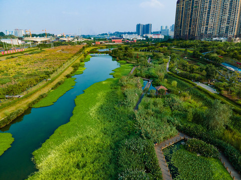 廣西南寧那考河濕地公園