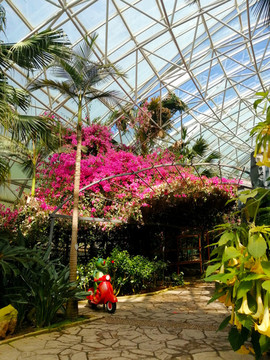 熱帶植物園一景