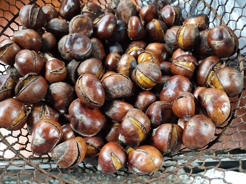 糖炒栗子