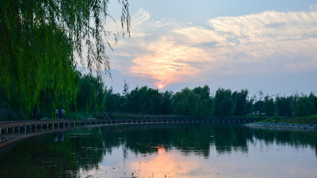 夕陽中的公園
