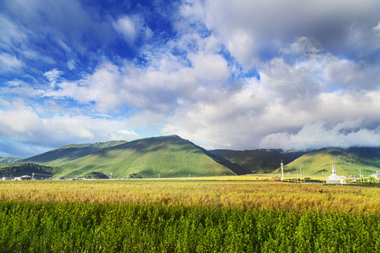 香格里拉風(fēng)景