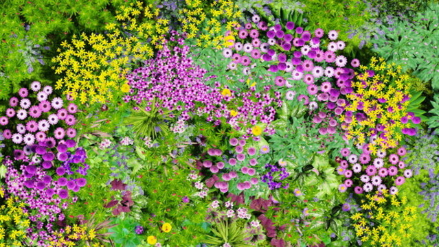 綠色植物花草墻
