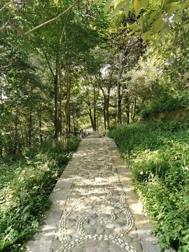 鵝卵石鋪貼的林蔭小道