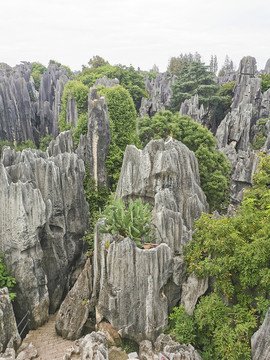 石林