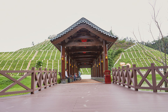 水榭