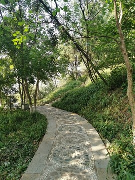 鵝卵石鋪貼的林蔭小道