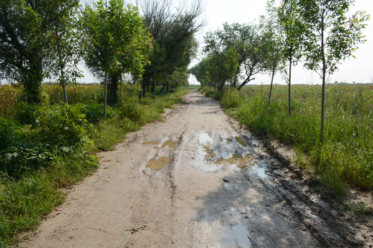 泥濘土路